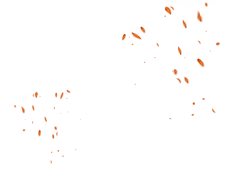 SpinSamurai - Spinsamurai casino